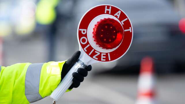 Grenzpolizei findet drei Hundewelpen unter der Rücksitzbank