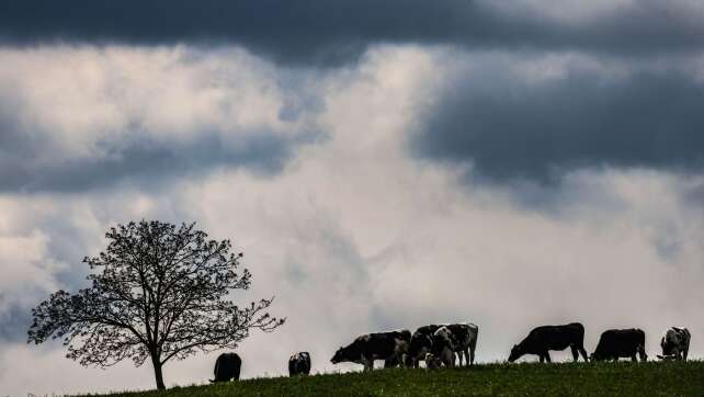 Regen und örtliche Gewitter zum Start in die neue Woche