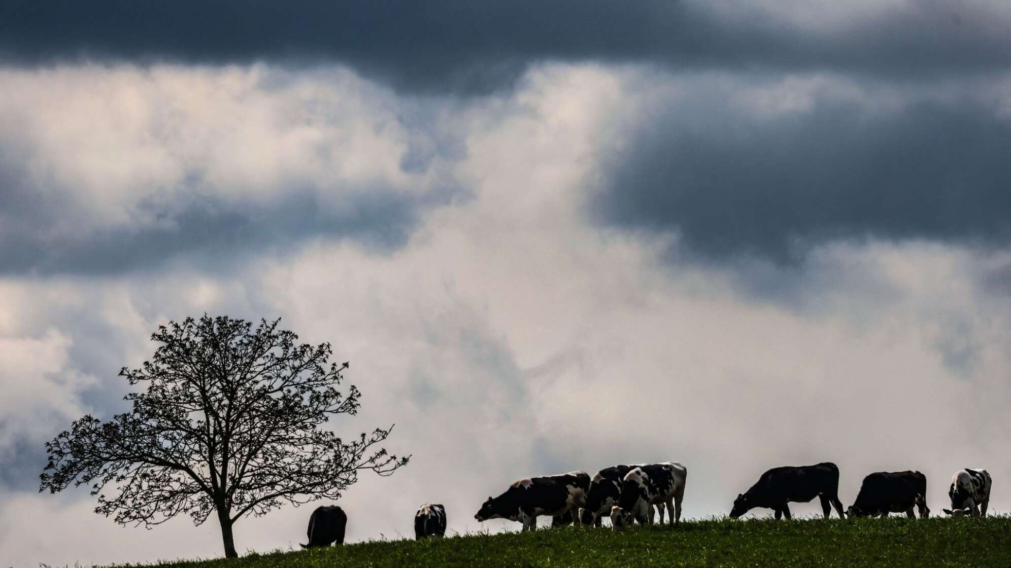 Wetter in der Eifel
