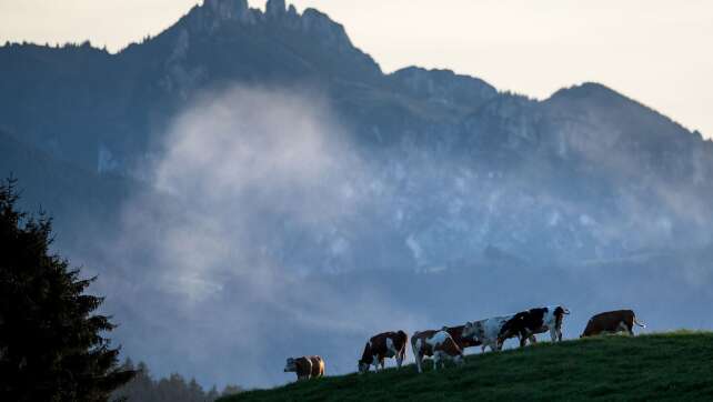 Zwei Kinder verlaufen sich bei Wanderung in den Bergen