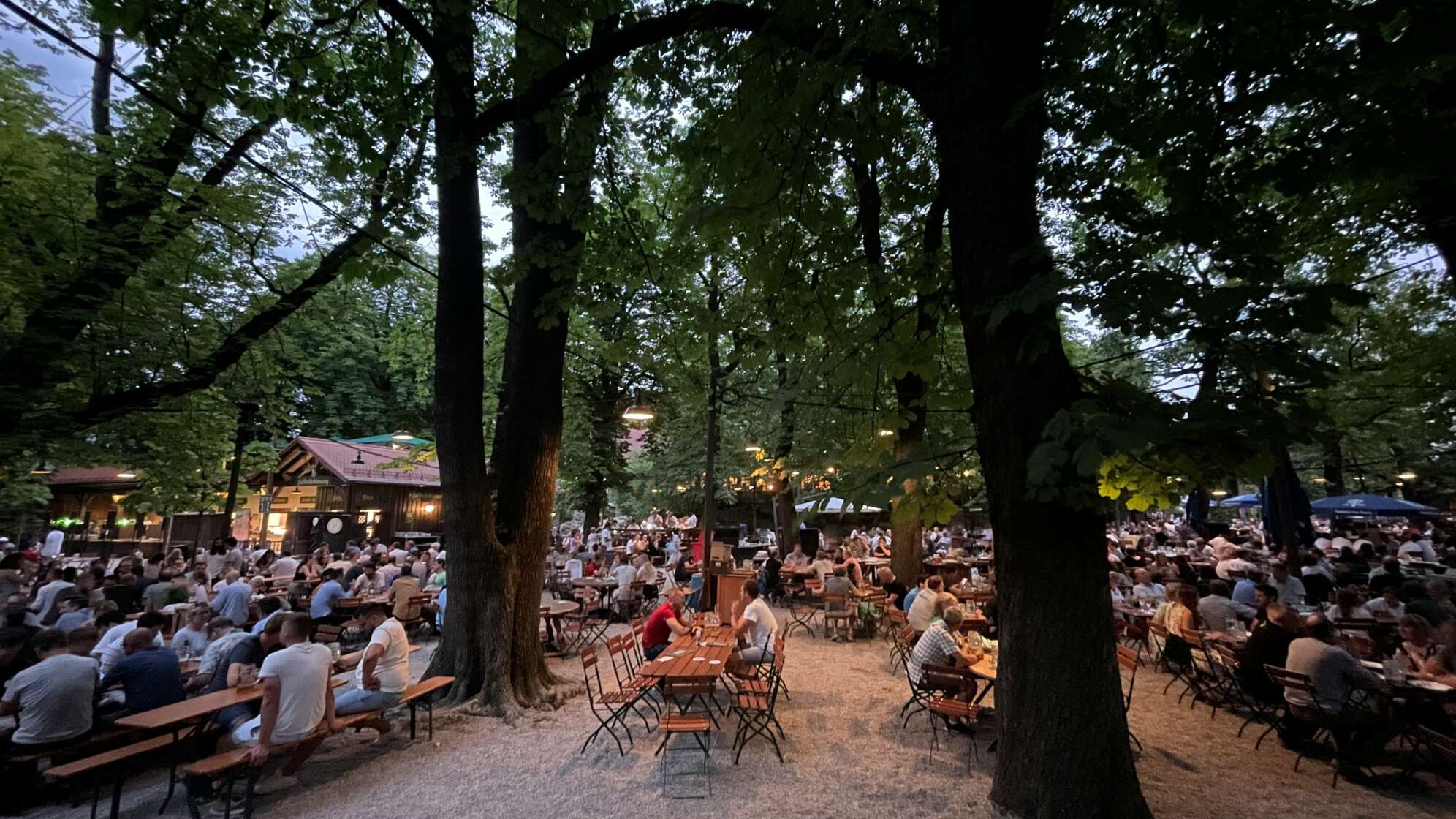 Blick in Biergarten mit Bäumen und teilweise besetzten Tischen