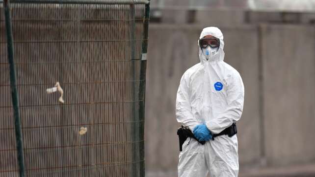 Was das Hantavirus von der Corona-Pandemie unterscheidet