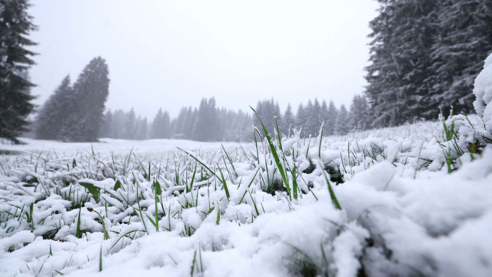 Schneefall in den höheren Lagen Bayerns