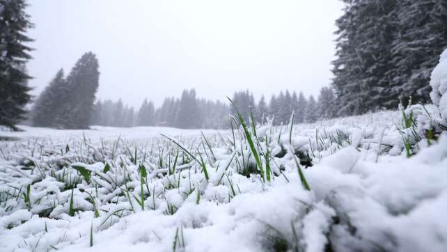 Wetter bleibt ungemütlich - auch am Feiertag
