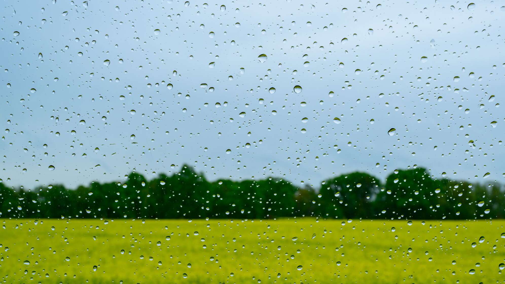 Regenwetter