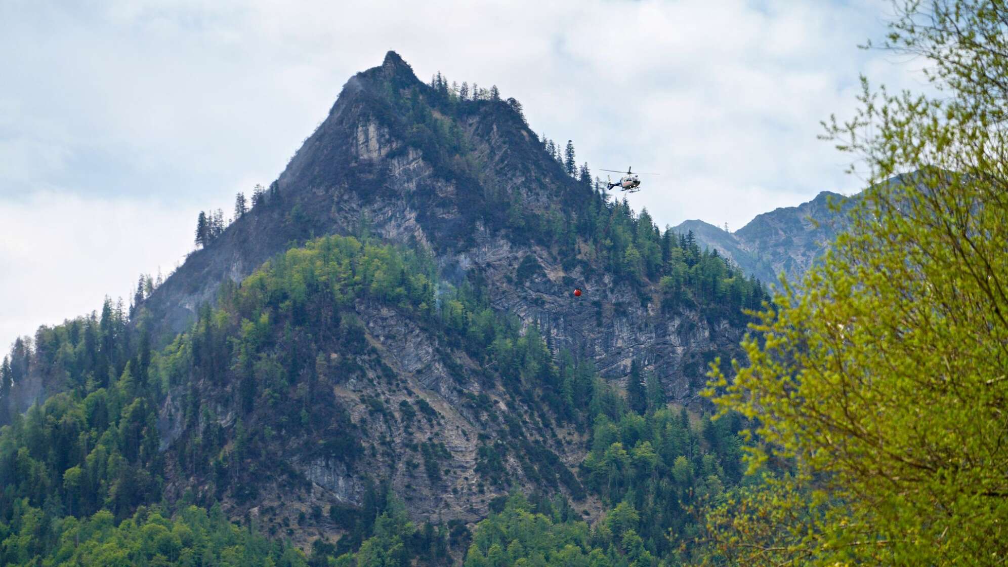Waldbrand am Saurüsselkopf