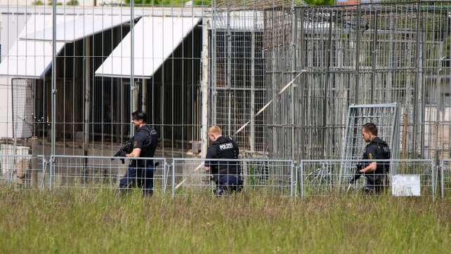 Peta fordert nach Tiger-Ausbruch Konsequenzen