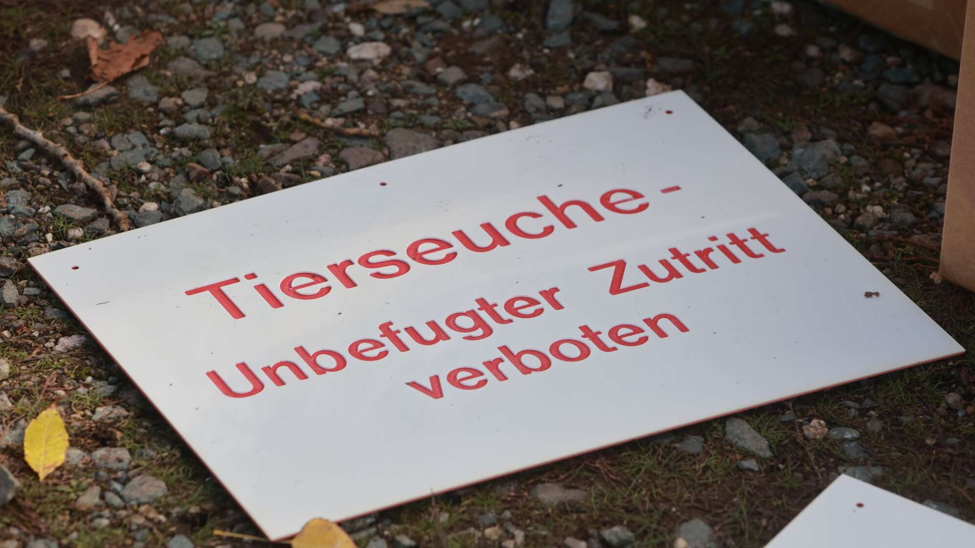Newcastle-Erkrankung im Kreis Mühldorf am Inn