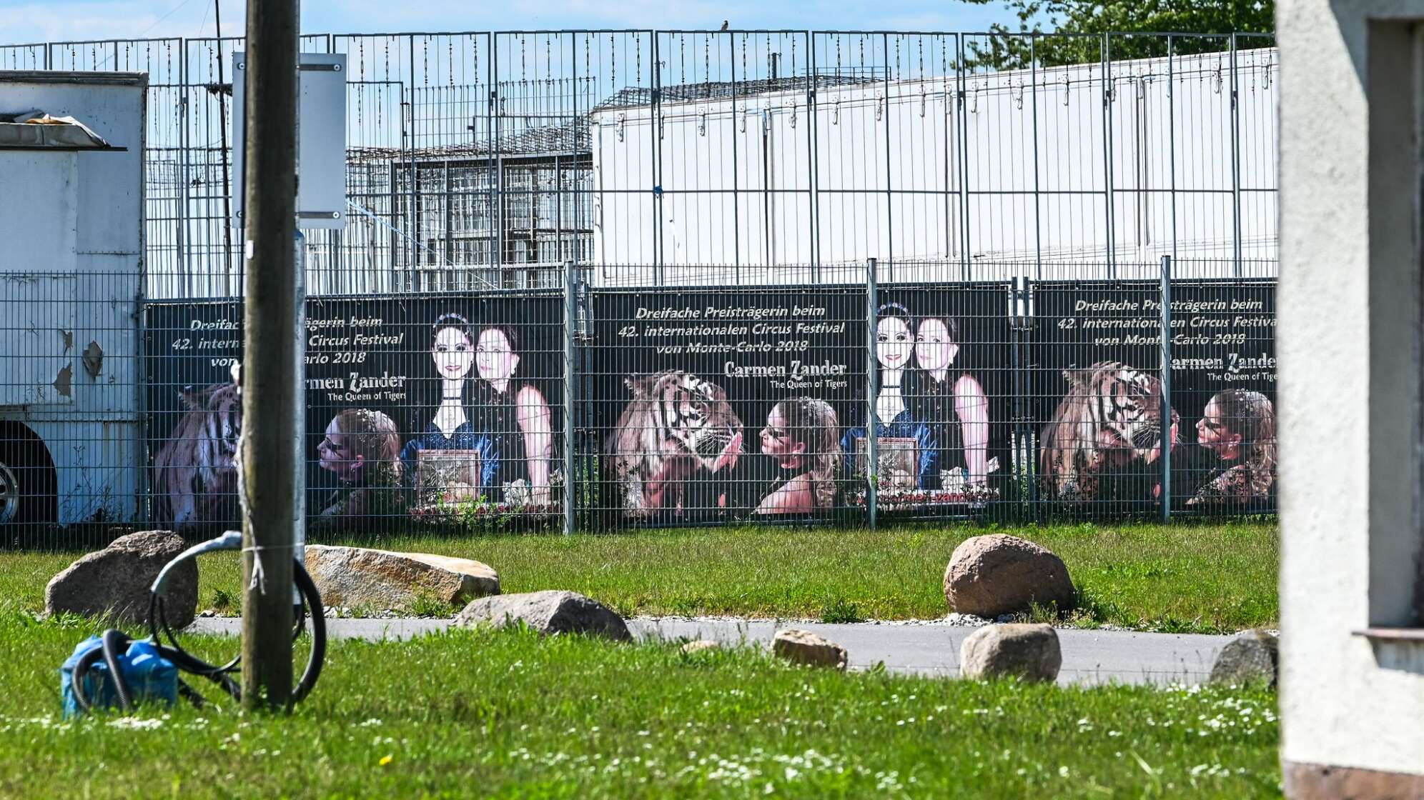 Ausgebrochener Tiger - Tag danach