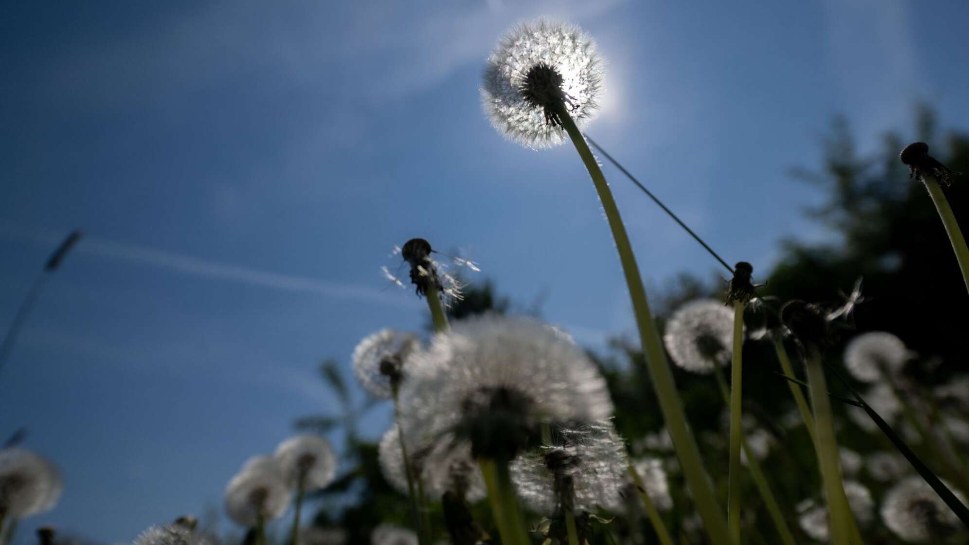 Wetter in Bayern
