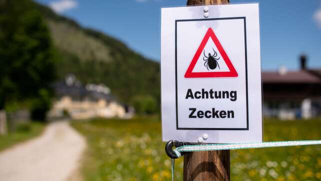 Mehr als 500 Menschen in Bayern durch Zecken erkrankt