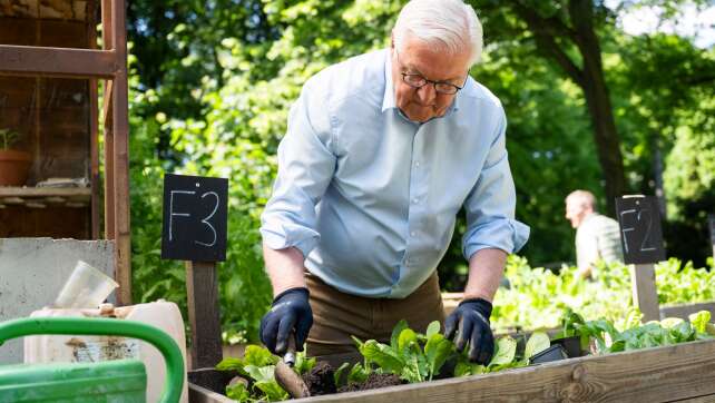 Steinmeier zum Grundgesetztag: Demokratie braucht Tatkraft