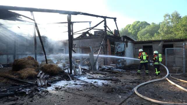 Tausende Hühner sterben bei Feuer im Saarland