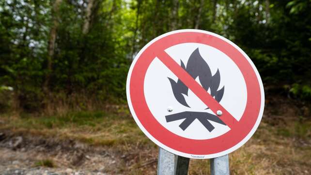 Waldbrandgefahr verbreitet hoch - höchste Stufe erwartet
