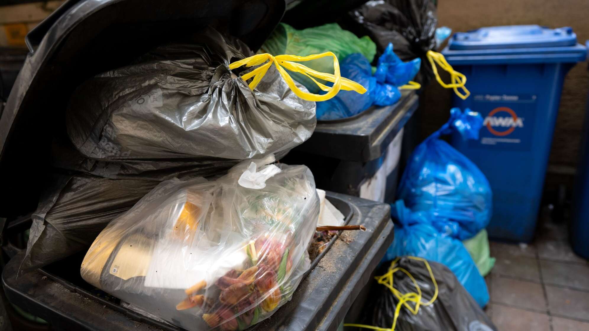 Bayerische Haushalte produzieren mehr Müll