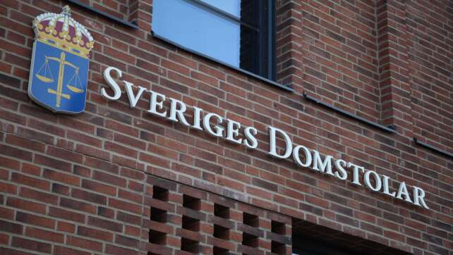 46 Klima-Aktivisten verklagen schwedischen Staat