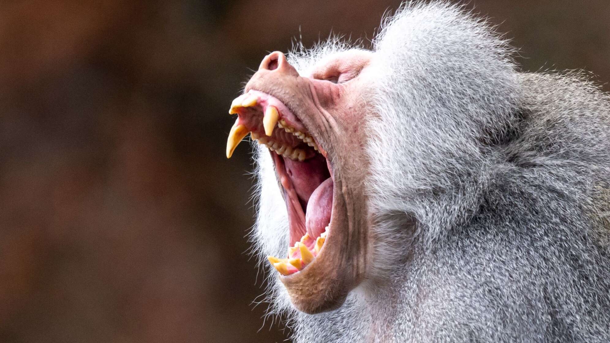 Tierpark Hellabrunn