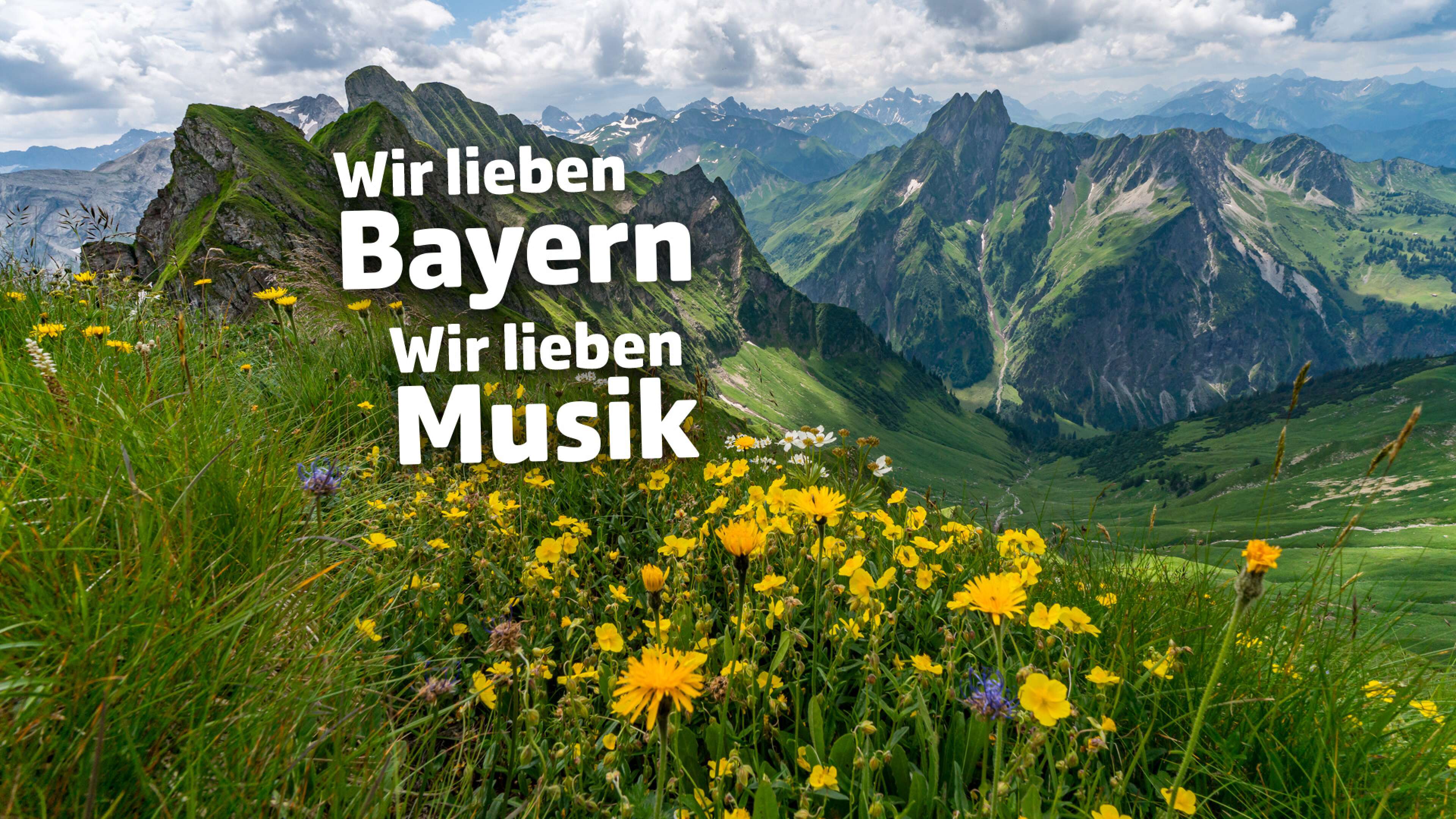 Blühende Bergwiese mit gelben Blumen und Blick auf die Allgäuer Alpen in Bayern. Im Bild steht der Text: ‚Wir lieben Bayern, wir lieben Musik‘. Natur, Berge und Musikgenuss in Bayern.