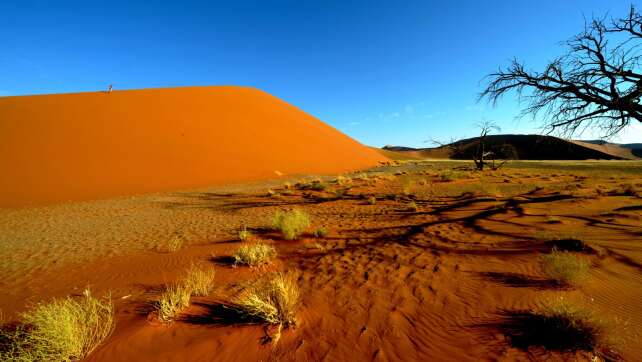 Vierte Leiche nach Flugzeugabsturz in Namibia entdeckt