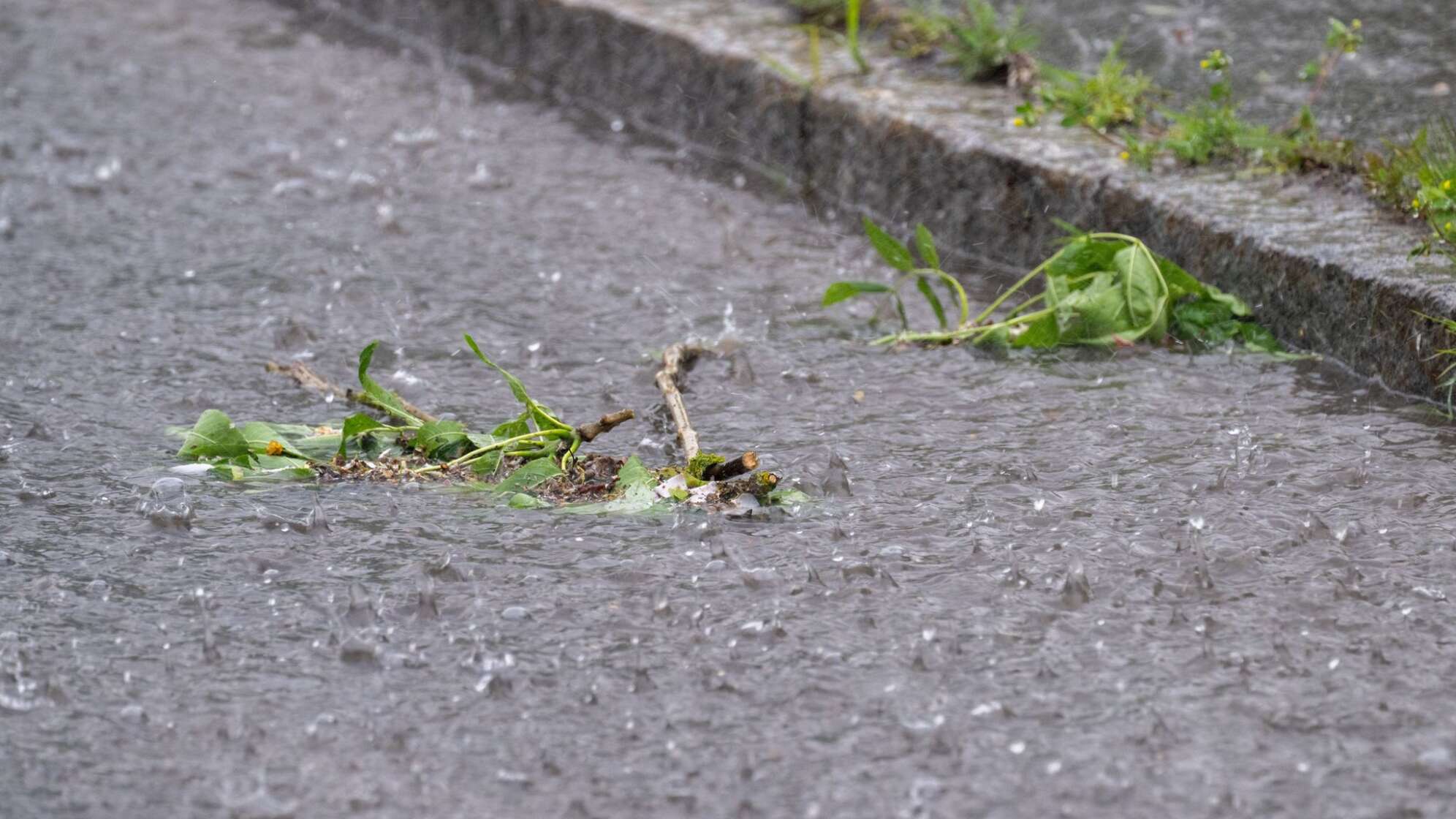 Wetter in Bayern