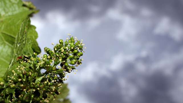 Wetter: Kurzes Zwischenhoch weicht Gewitterfront