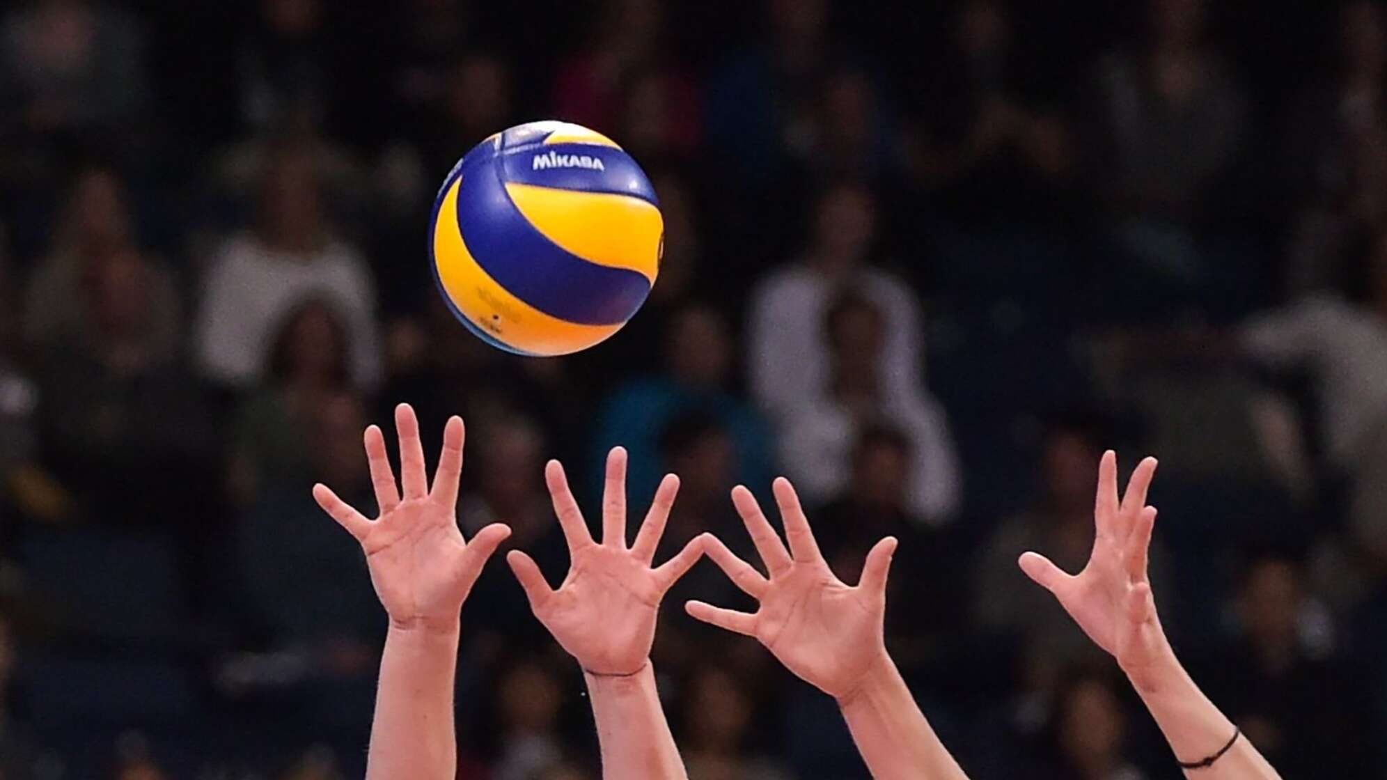 Volleyball