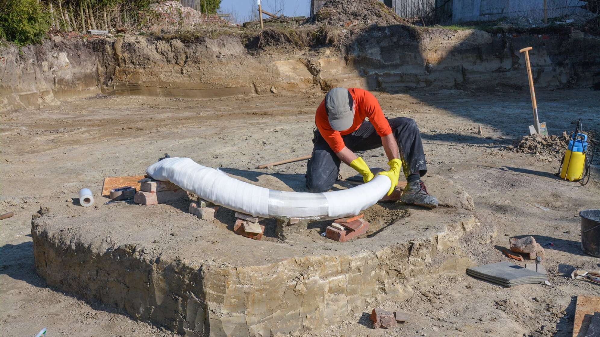 Mammut-Stoßzahn
