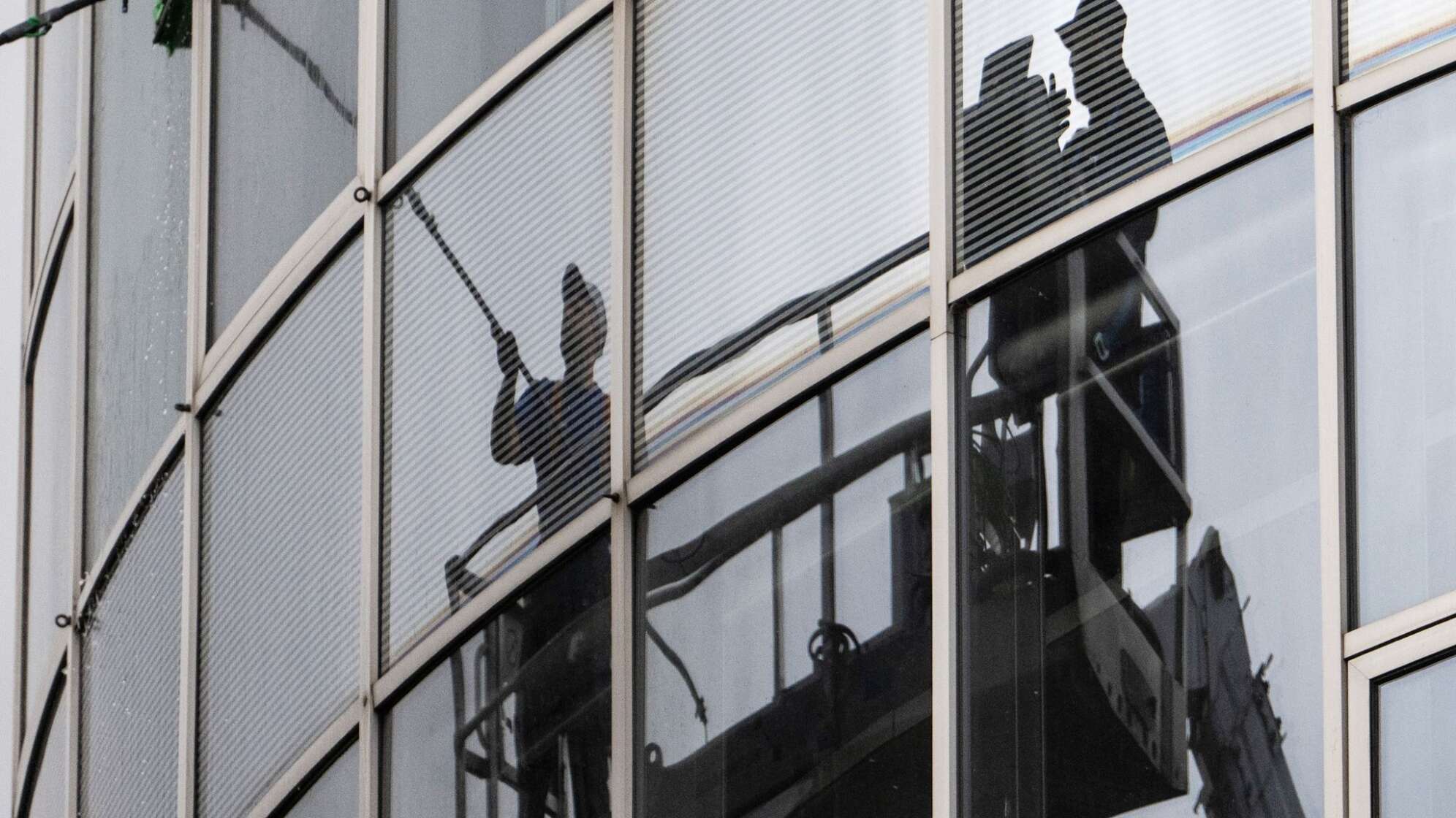Fensterreiniger