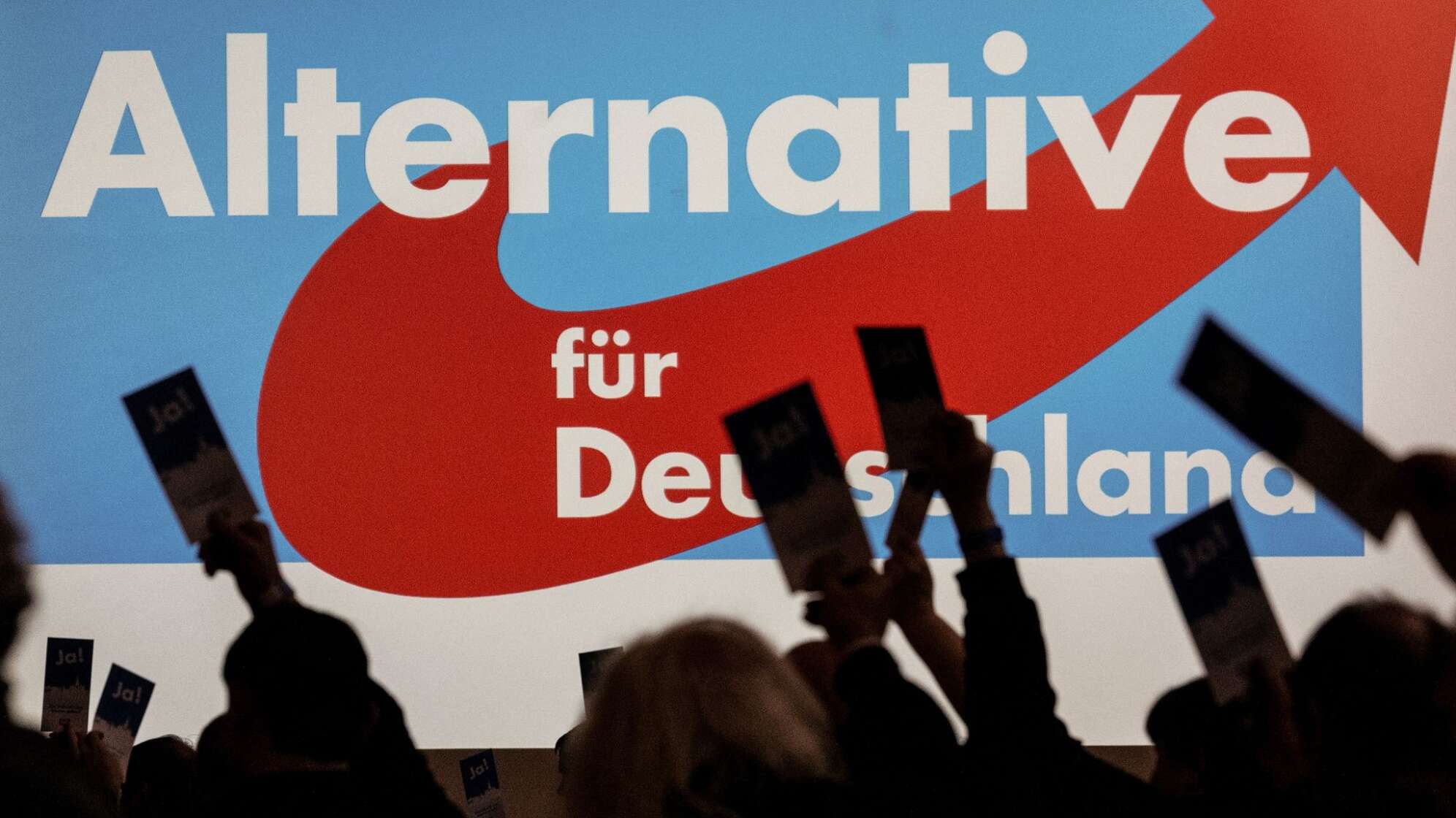 Forsa-Umfrage: AfD bei 19 Prozent und vor SPD