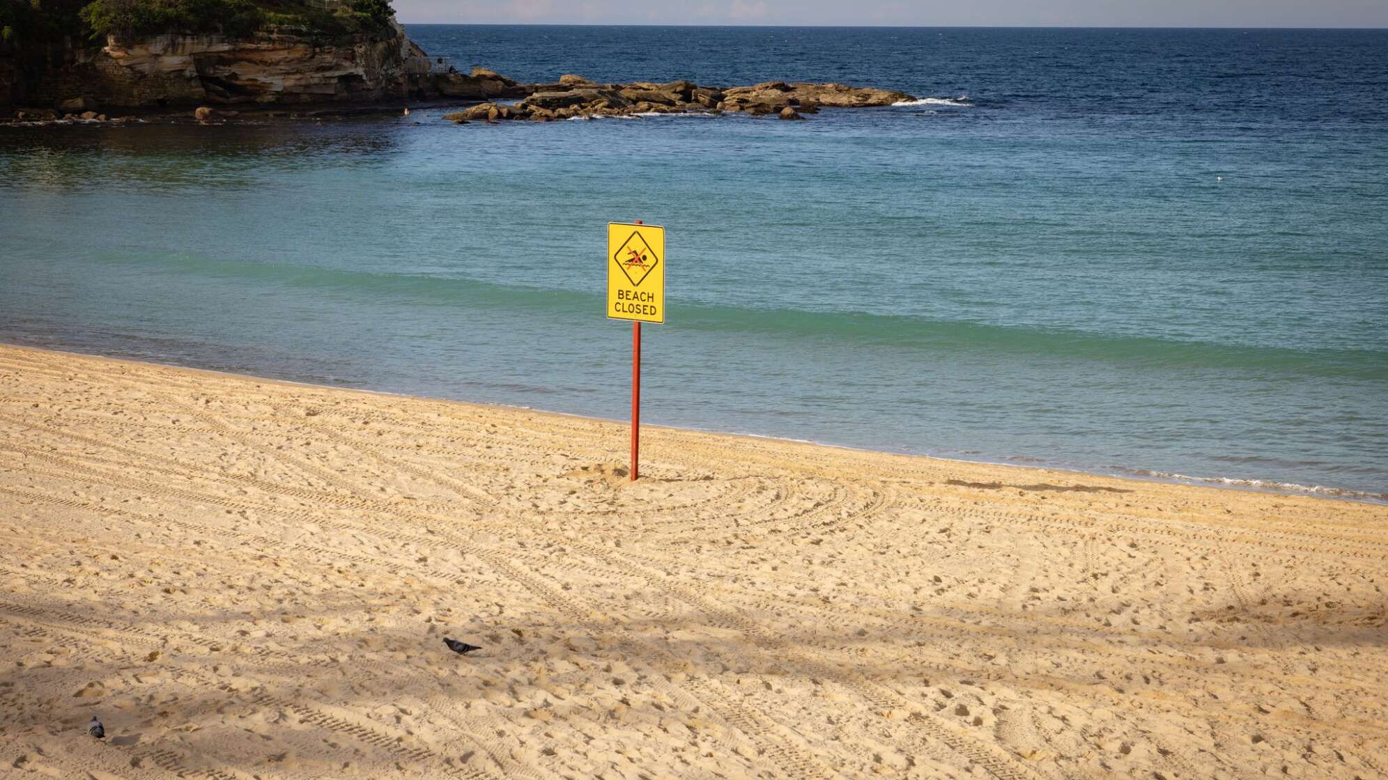 Frau in Sydney bei Hai-Angriff lebensgefährlich verletzt