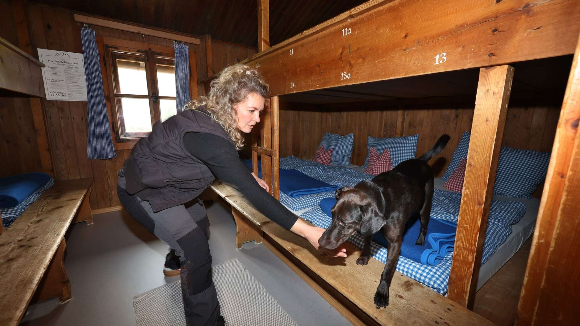 Wanzen-Spürhund sucht Hüttenbetten ab