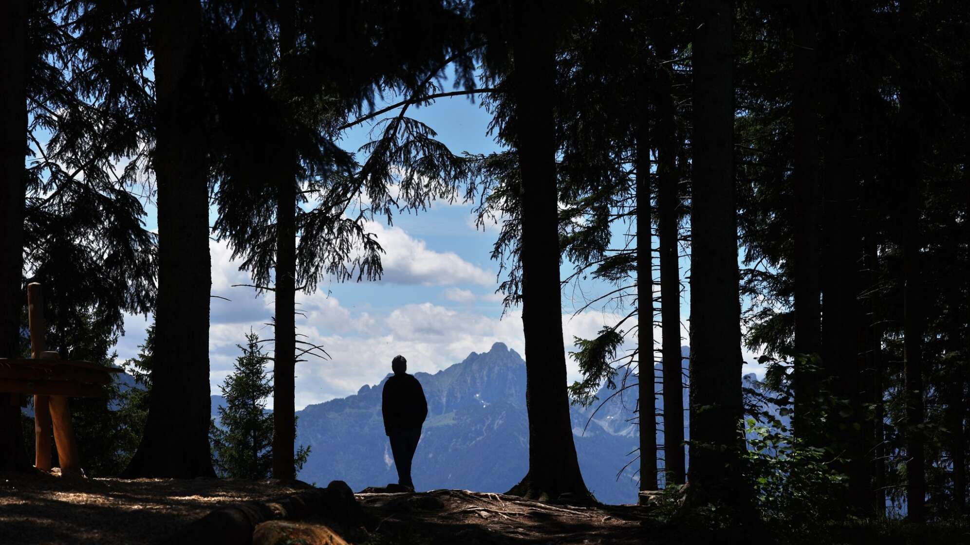 Wanderer
