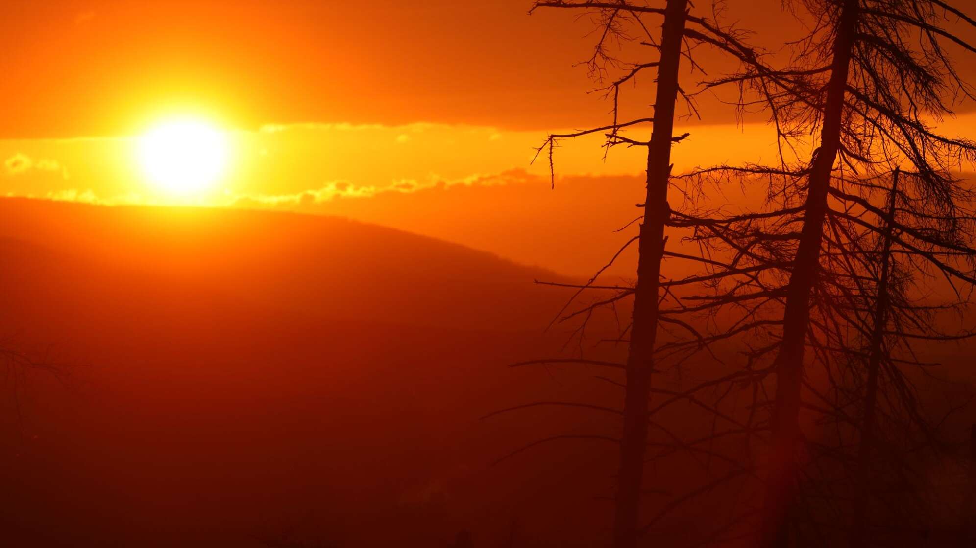 Sonnenuntergang im Harz