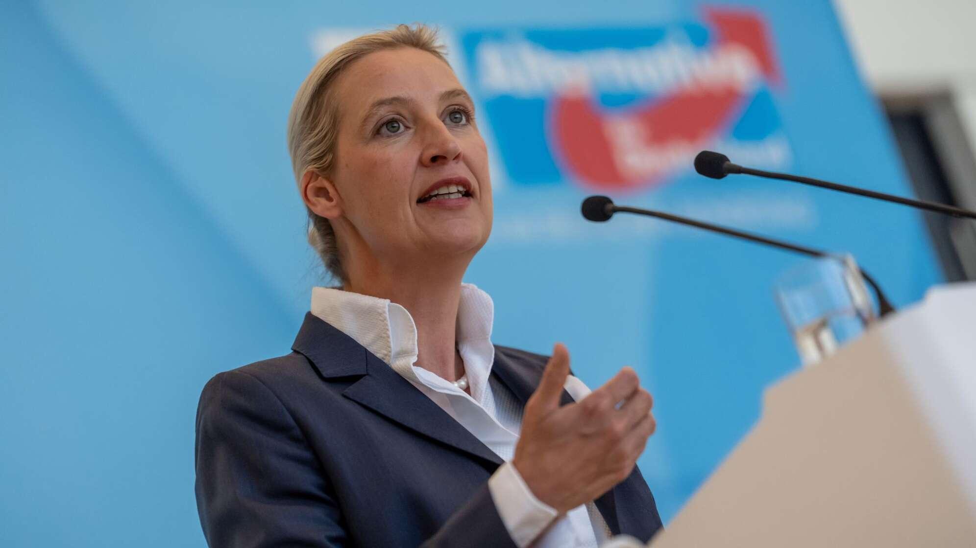 Fraktionssitzungen im Bundestag - AfD
