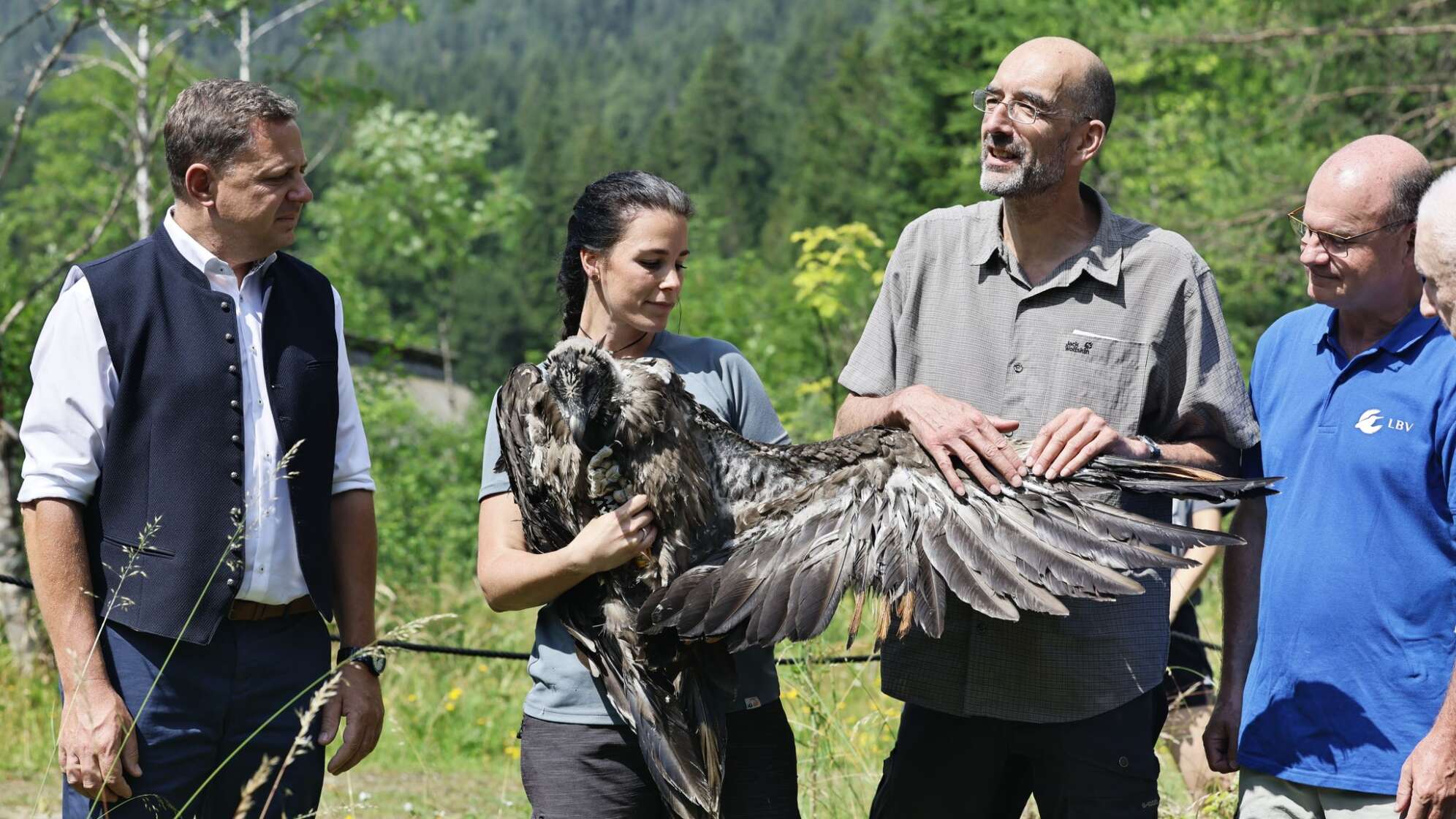 Zwei weitere Bartgeier ausgewildert