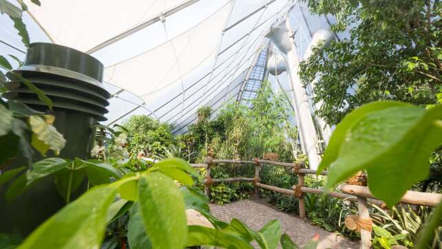 Nach langem Umbau: Neue Dschungelwelt in Münchner Zoo