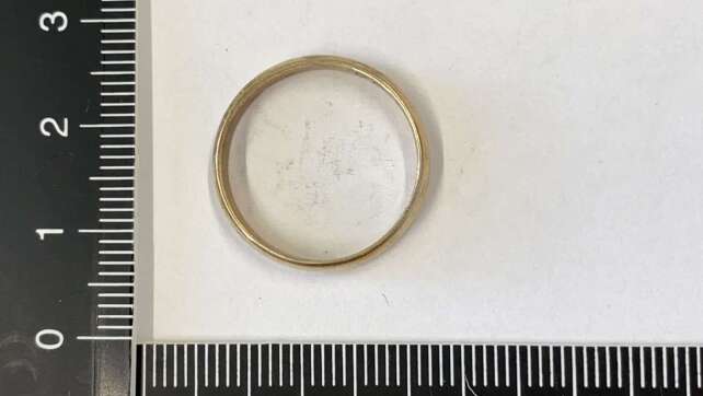 Kinder finden mehr als 60 goldene Ringe im Wald