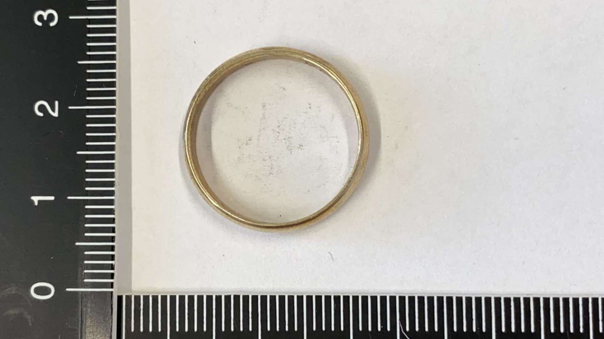Kinder finden mehr als 60 goldene Ringe in Wald
