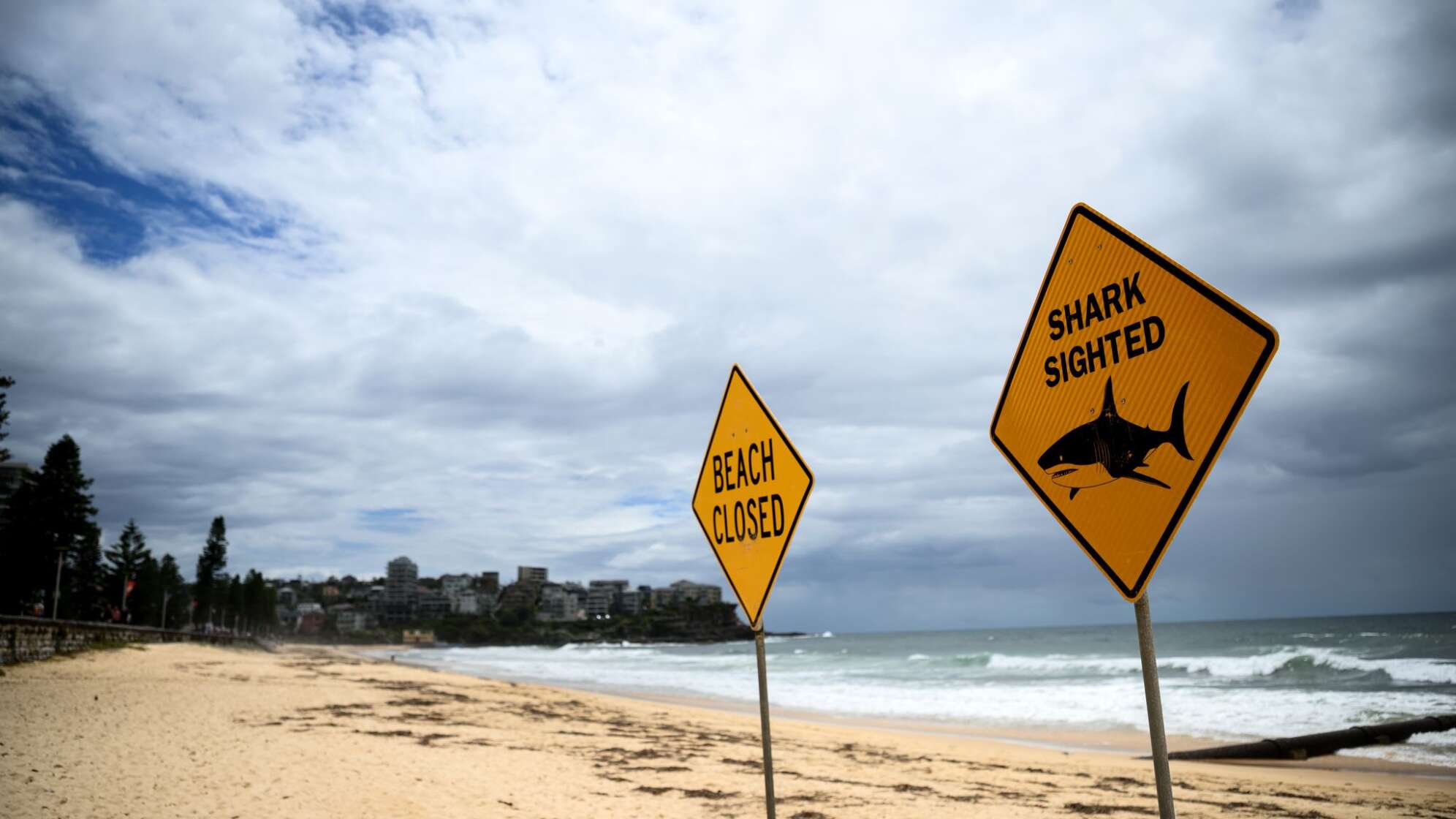 Strände in Sydney nach Haisichtungen gesperrt