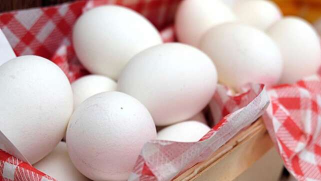 Bayerisches Frühstücksei: Mit diesen Fehlern verkürzt ihr die Haltbarkeit