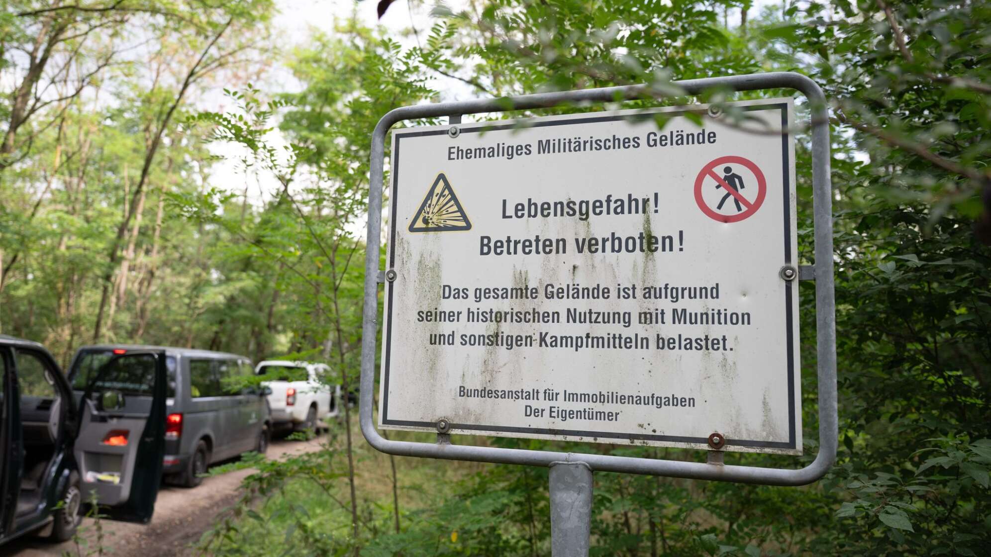Auswirkungen Waldbrand Gohrischheide