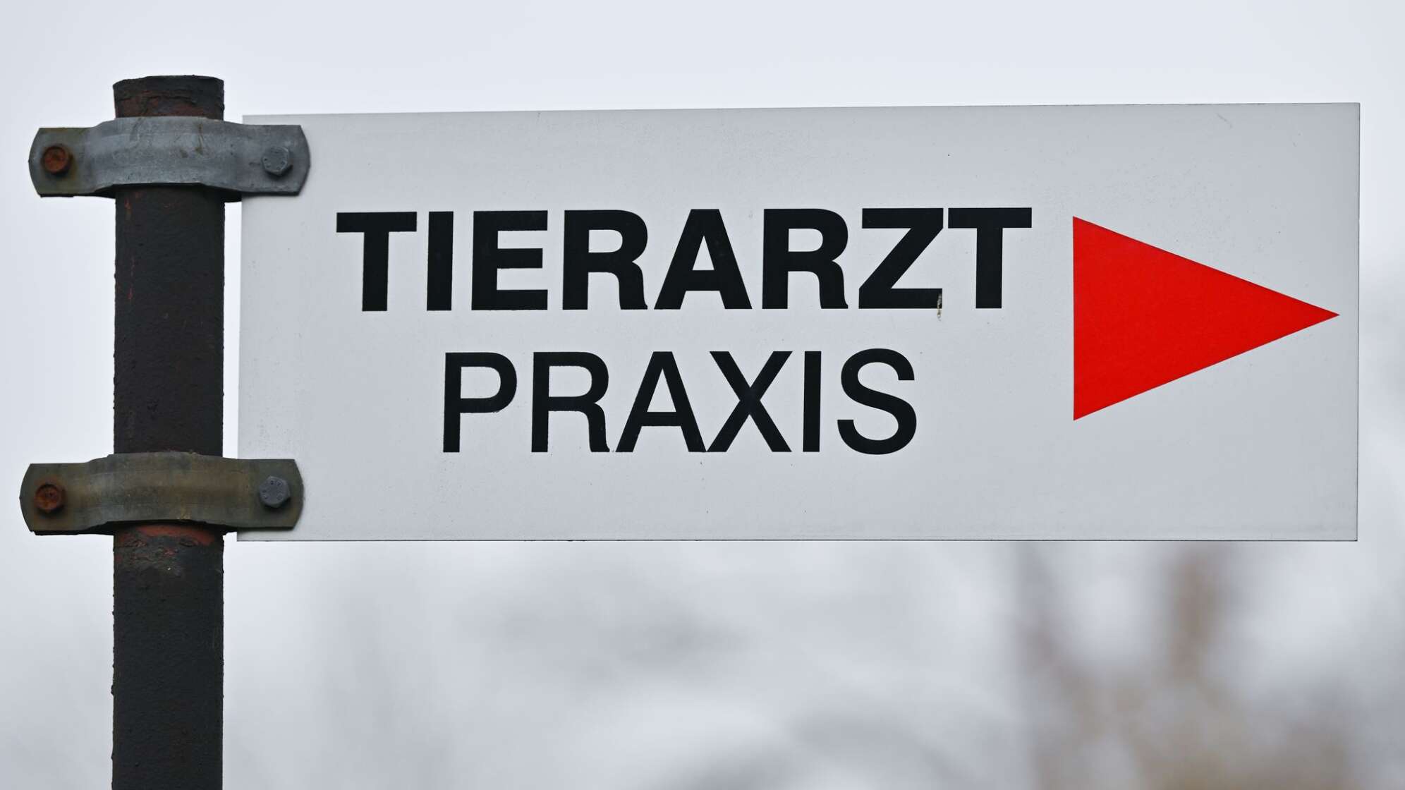 Tierarzt - Praxis