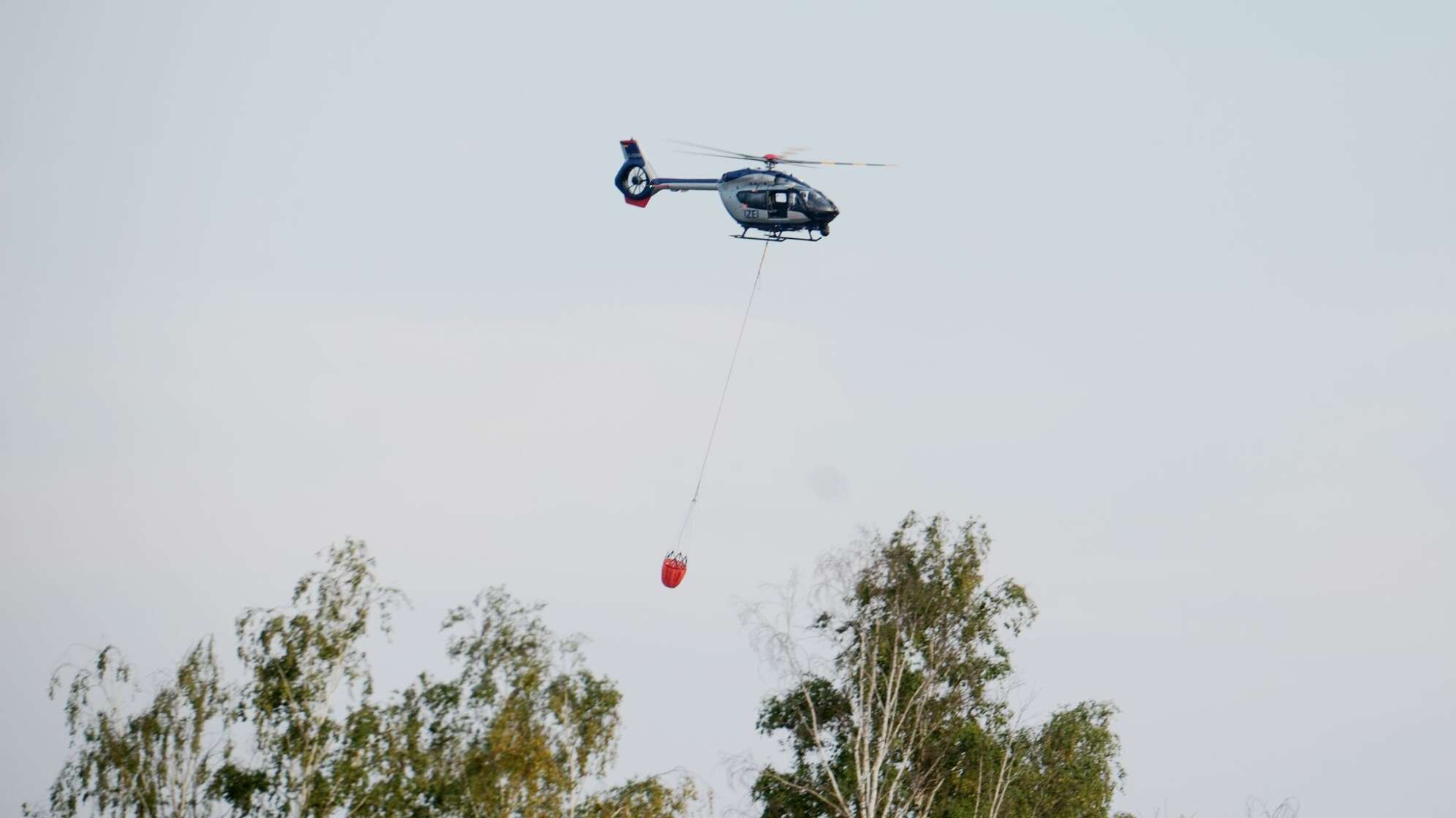 Waldbrand Gohrischheide