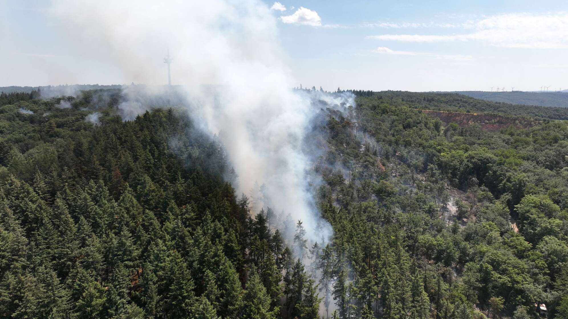 Waldbrand mit Munition in Rheinland-Pfalz brennt