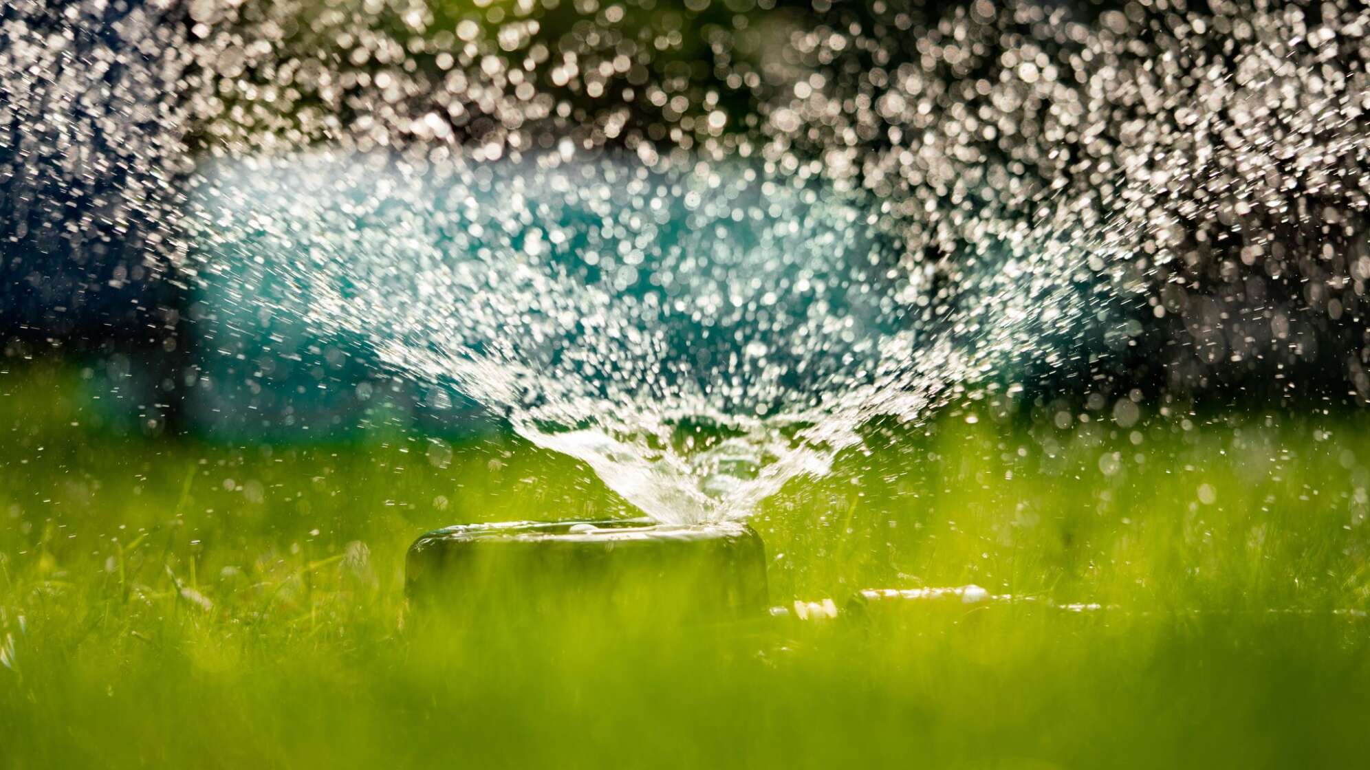 Gartenbewässerung