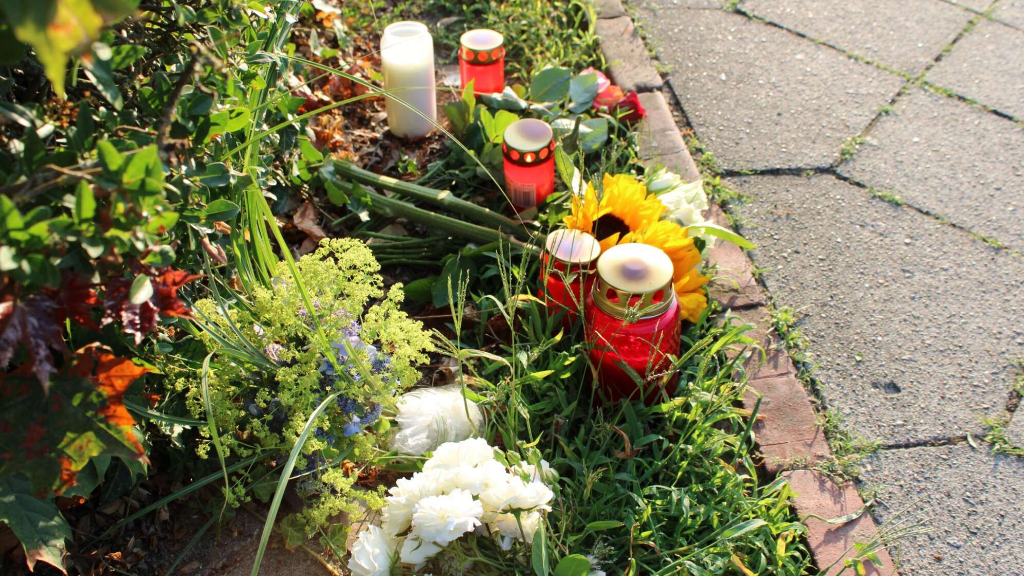 Schüsse in Jugendeinrichtung - Mehrere Tote in Stade