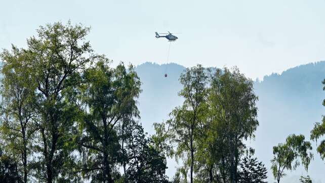 Aufräumarbeiten nach Waldbrand am Chiemsee