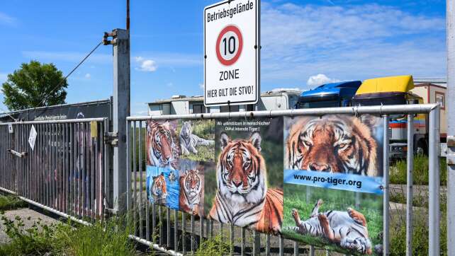 Nach Tigerausbruch - Behörden bei Haltung nahe Leipzig