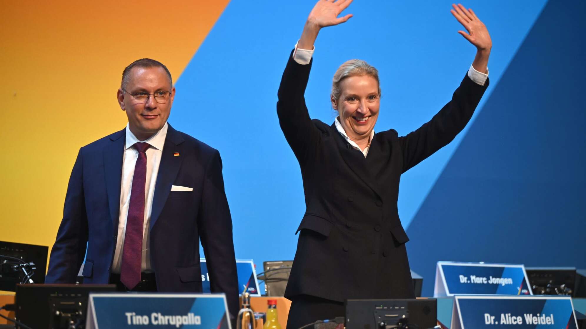 Bundesparteitag der AfD