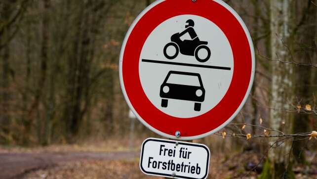 Bienenstich auf Alm, Unfall auf Weg ins Tal – Mann verletzt